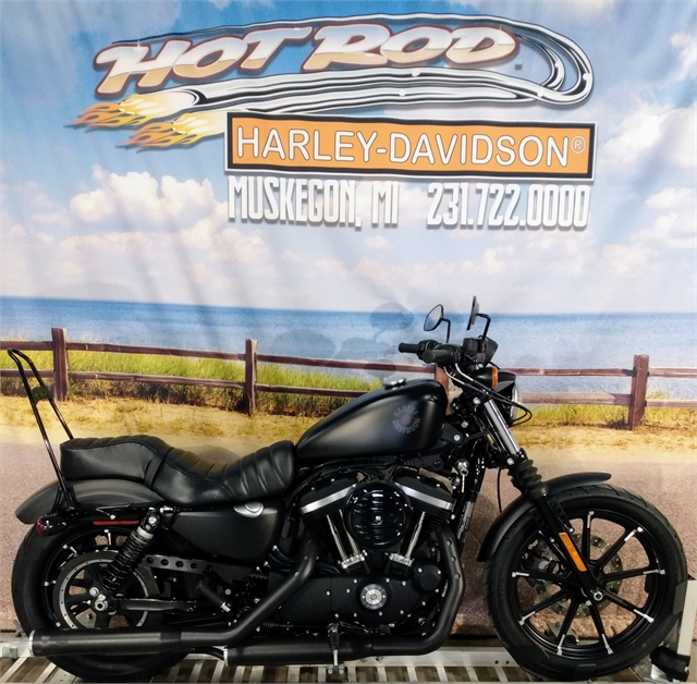 19 Harley Davidson Sportster Iron 8 Hot Rod Harley Davidson