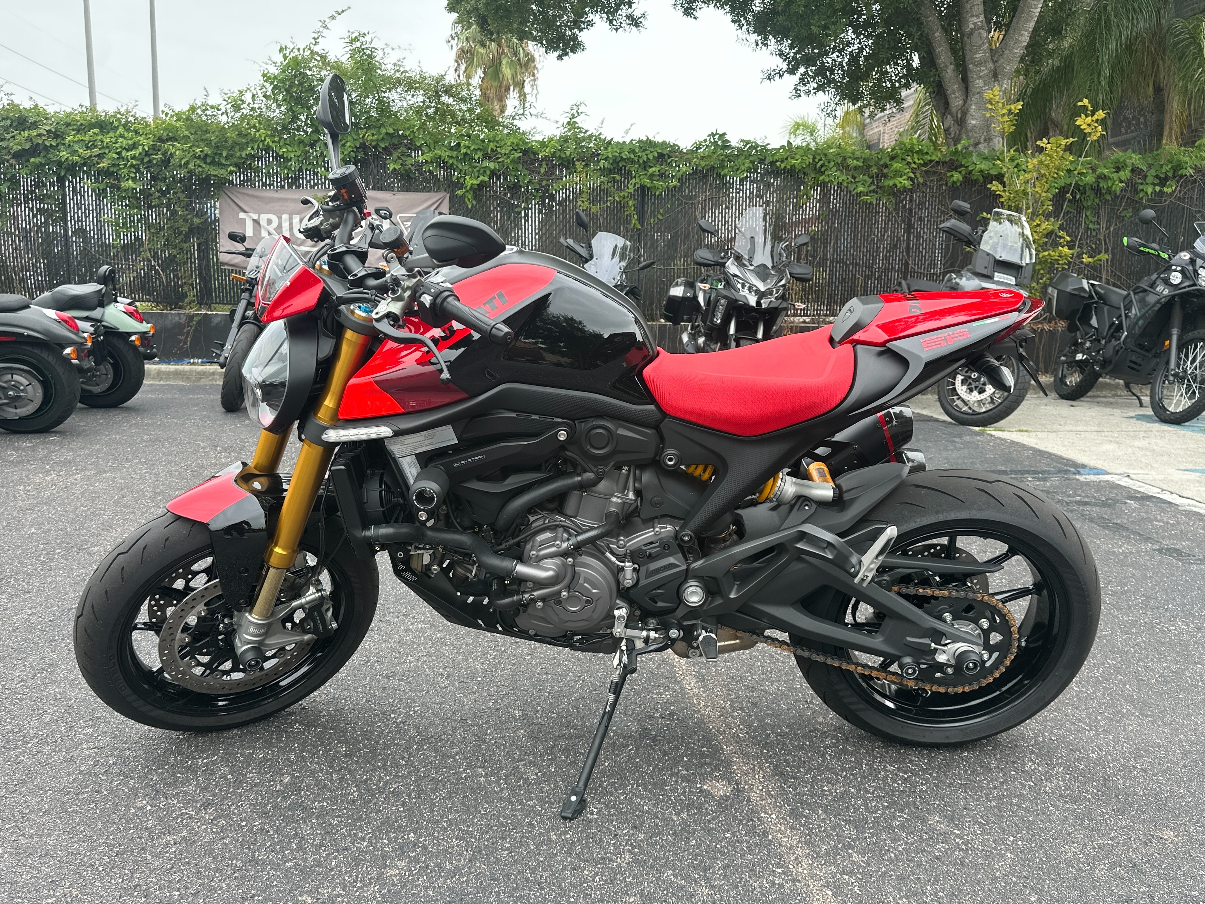 2023 Ducati Monster 937+ at Tampa Triumph, Tampa, FL 33614