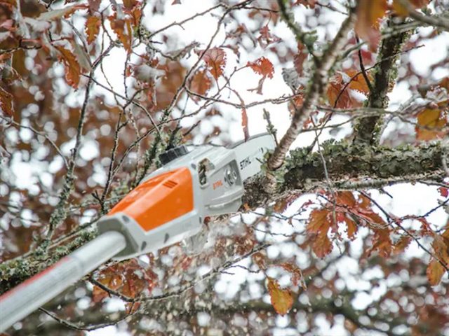 2024 STIHL Pole Pruners HTA 50 at McKinney Outdoor Superstore