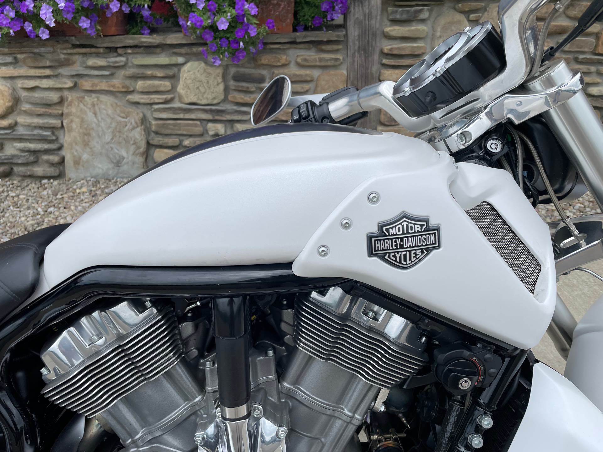 2014 Harley-Davidson V-Rod V-Rod Muscle at Arkport Cycles