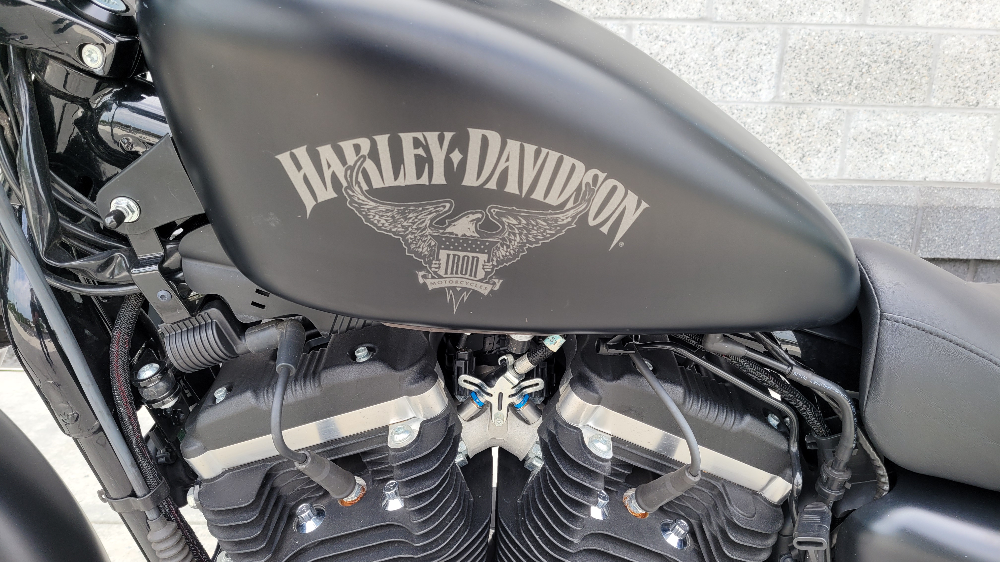 2017 Harley-Davidson Sportster Iron 883 at Yamaha Triumph KTM of Camp Hill, Camp Hill, PA 17011