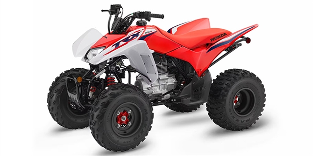 2024 Honda TRX 250X at Wise Honda