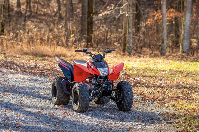 2024 Honda TRX 250X at Wise Honda