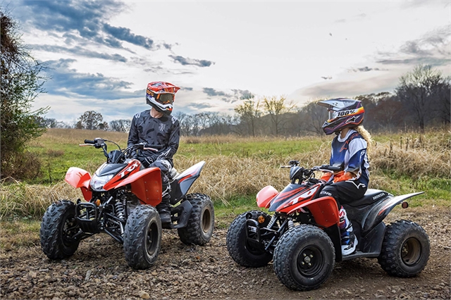 2024 Honda TRX 250X at Wise Honda