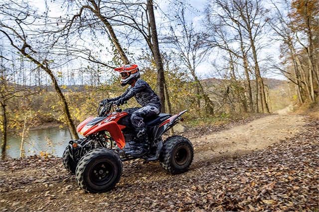 2024 Honda TRX 250X at Wise Honda