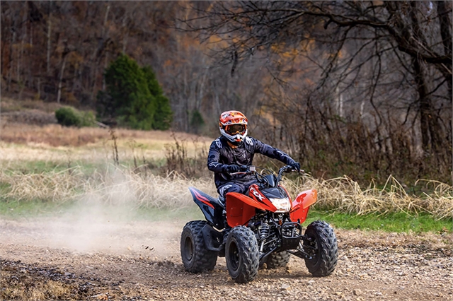 2024 Honda TRX 250X at Wise Honda