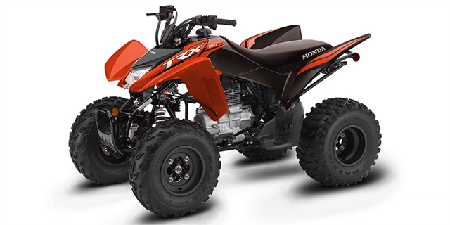 2024 Honda TRX 250X at Wise Honda