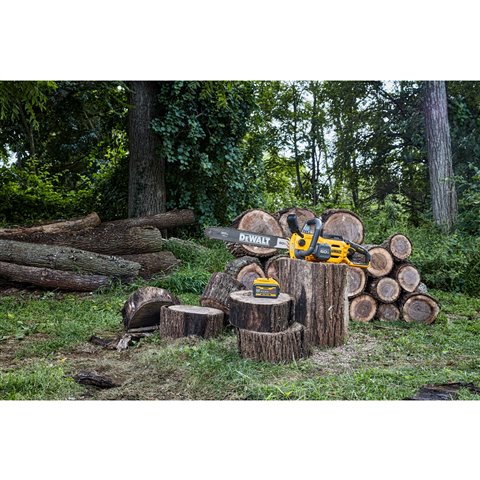 2023 Dewalt 60V Chainsaw 20 at McKinney Outdoor Superstore