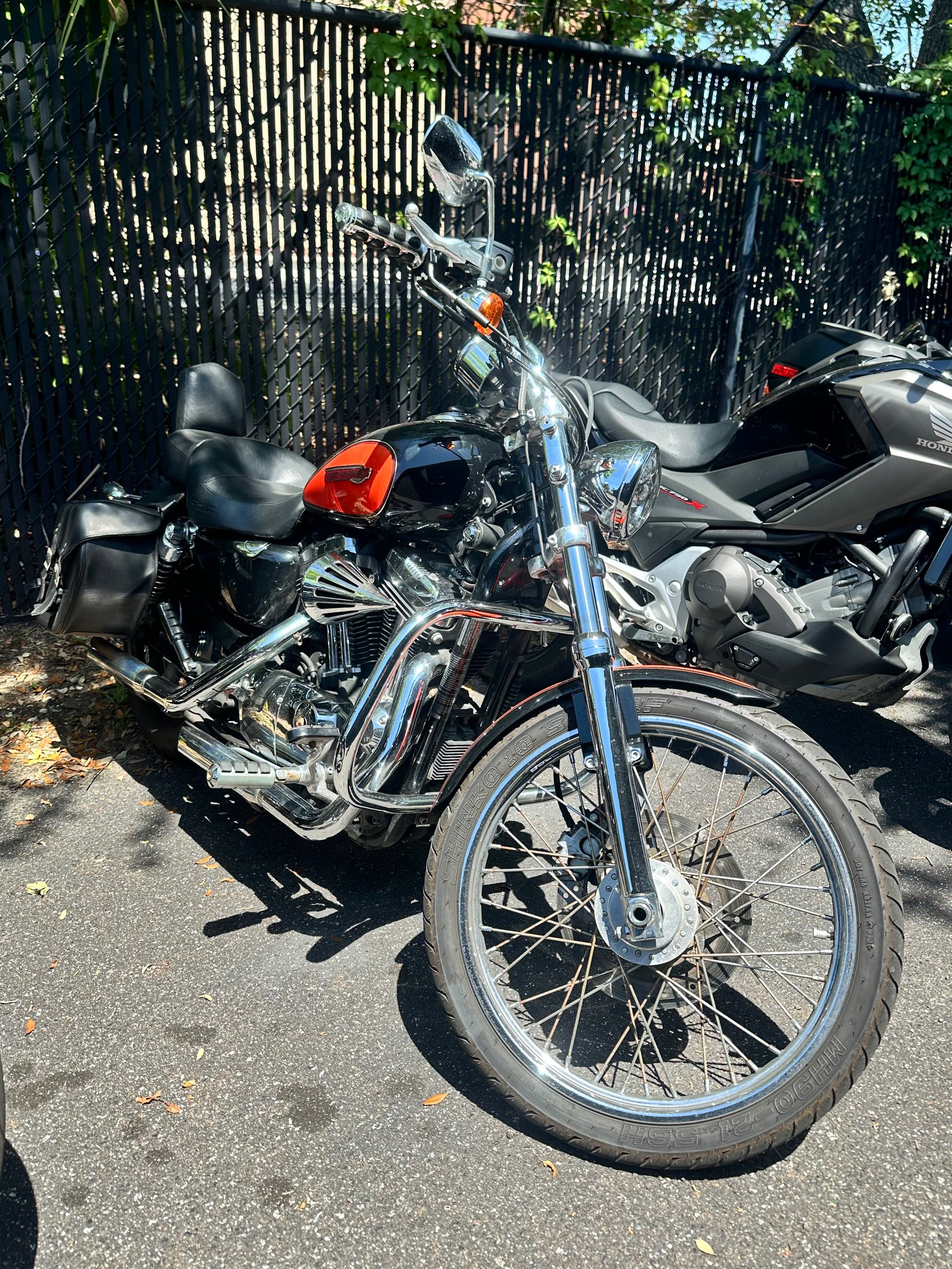 2009 Harley-Davidson Sportster 1200 Custom at Tampa Triumph, Tampa, FL 33614