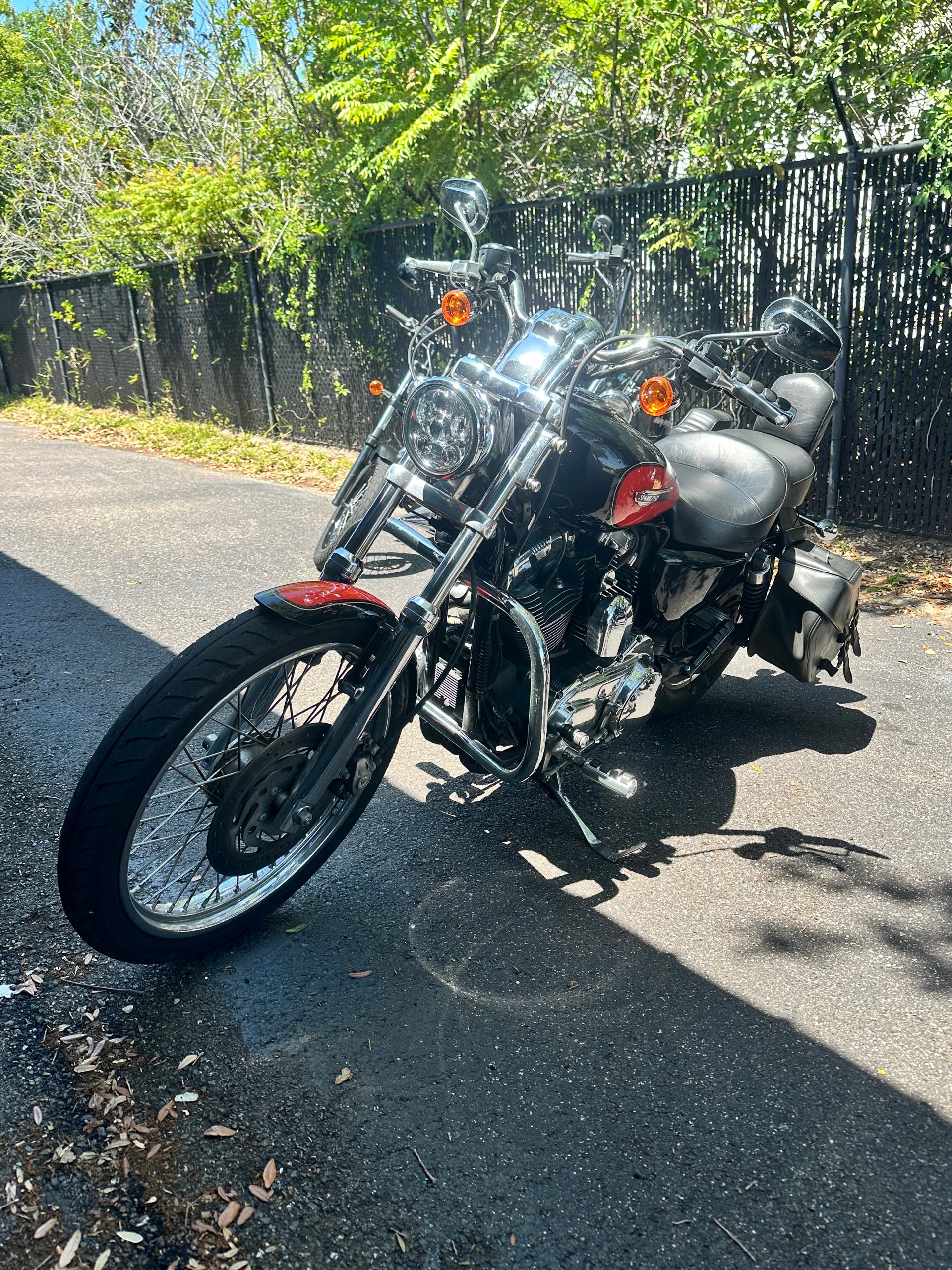 2009 Harley-Davidson Sportster 1200 Custom at Tampa Triumph, Tampa, FL 33614