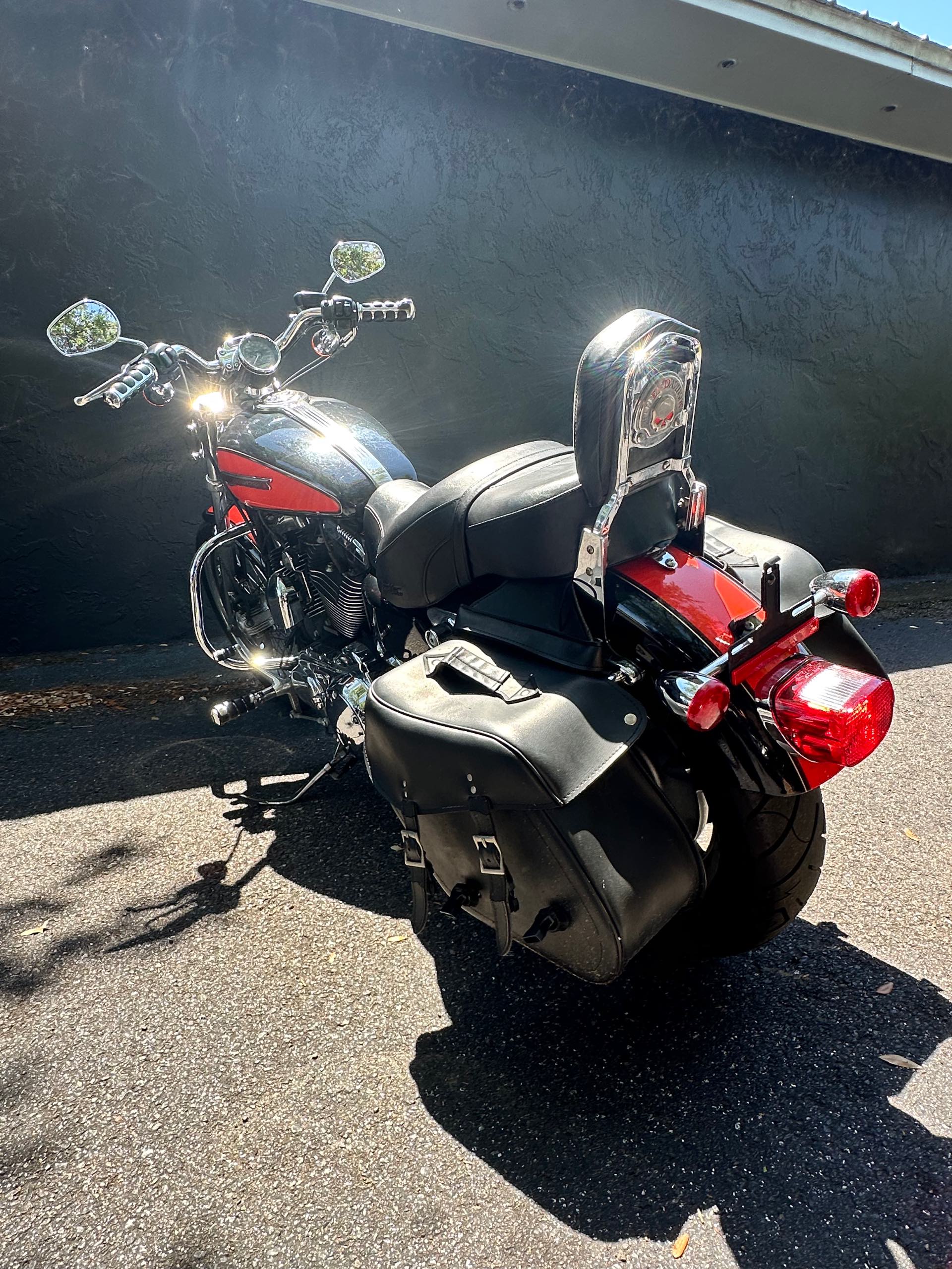 2009 Harley-Davidson Sportster 1200 Custom at Tampa Triumph, Tampa, FL 33614