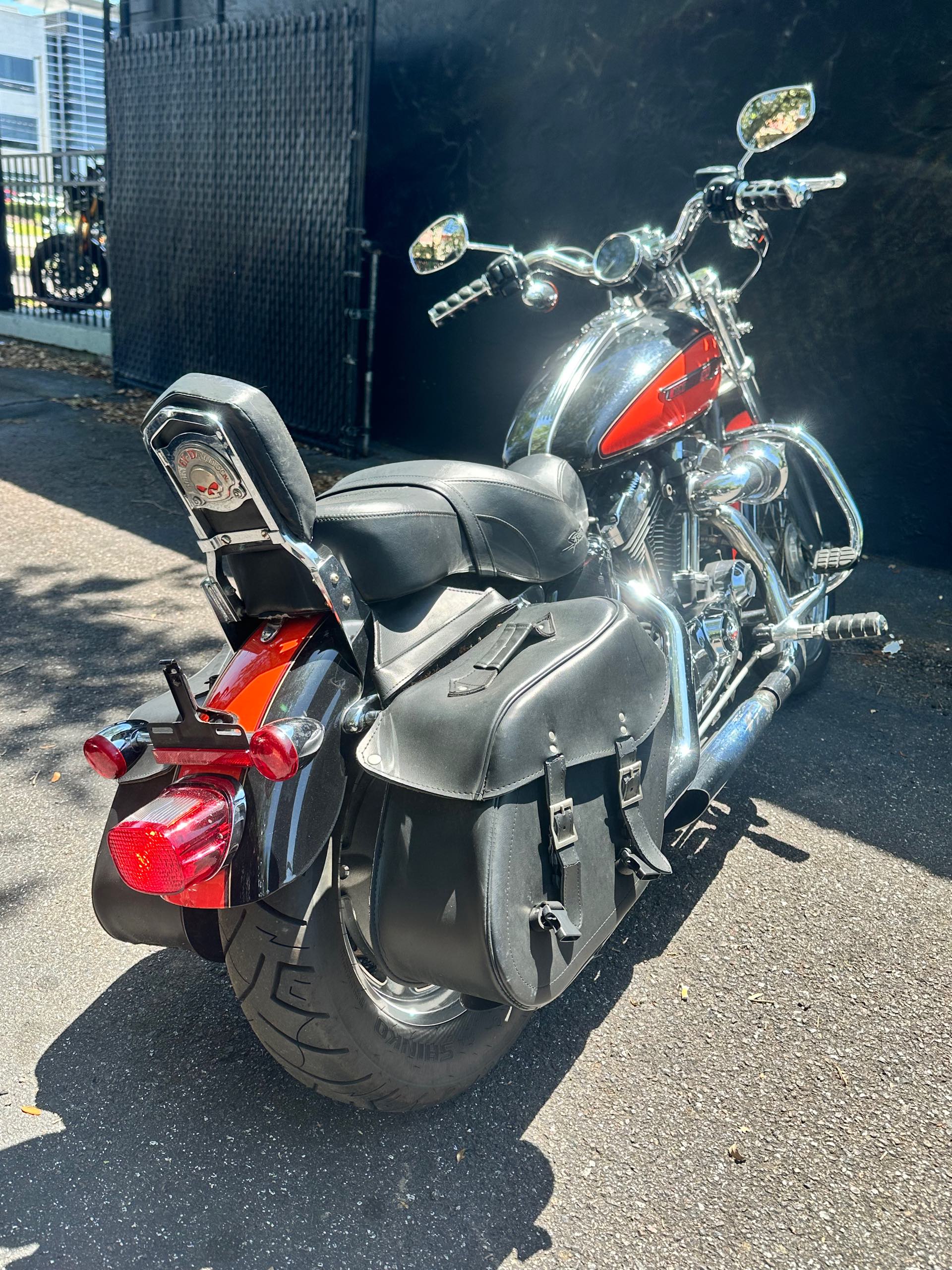 2009 Harley-Davidson Sportster 1200 Custom at Tampa Triumph, Tampa, FL 33614