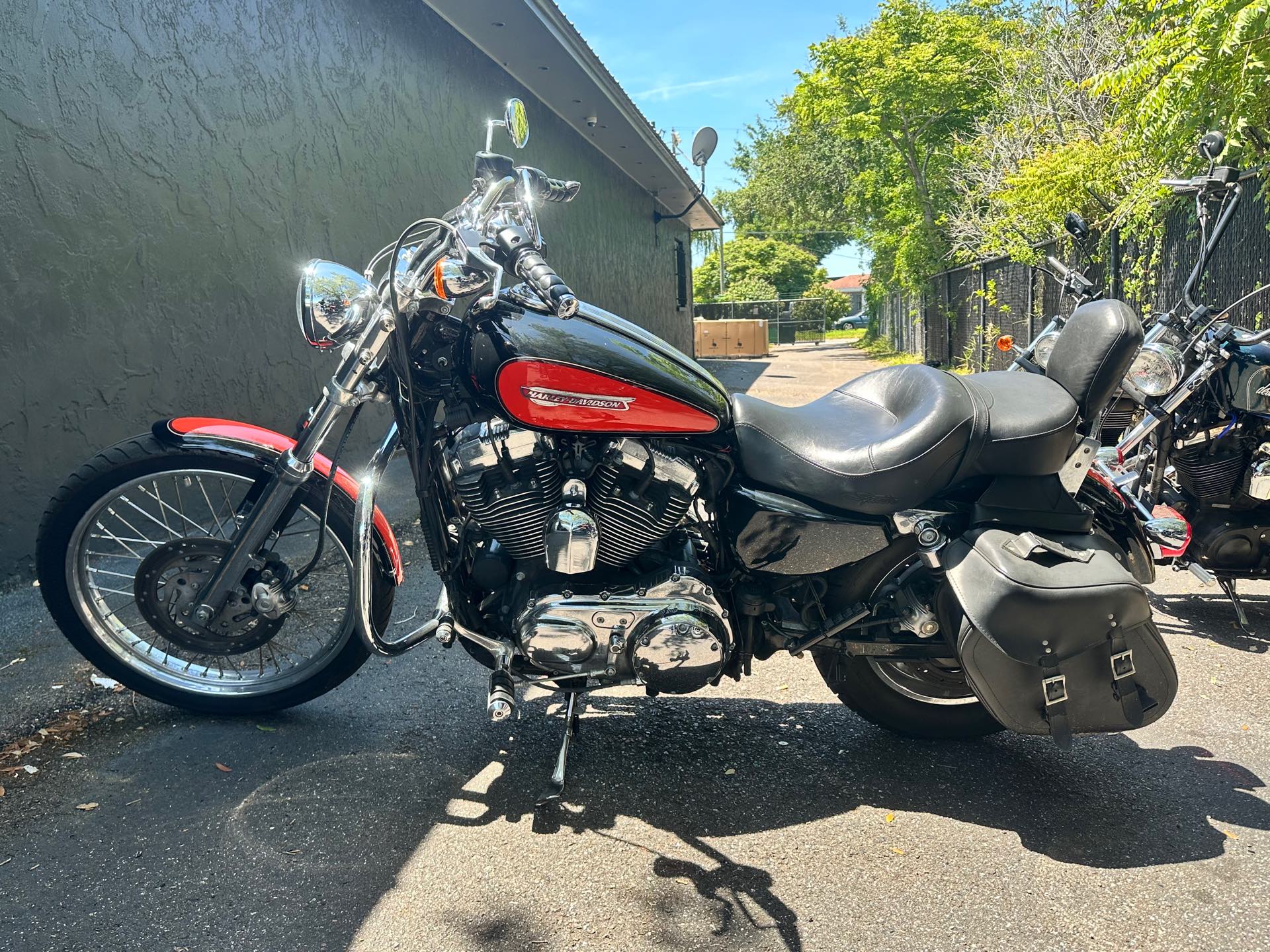 2009 Harley-Davidson Sportster 1200 Custom at Tampa Triumph, Tampa, FL 33614