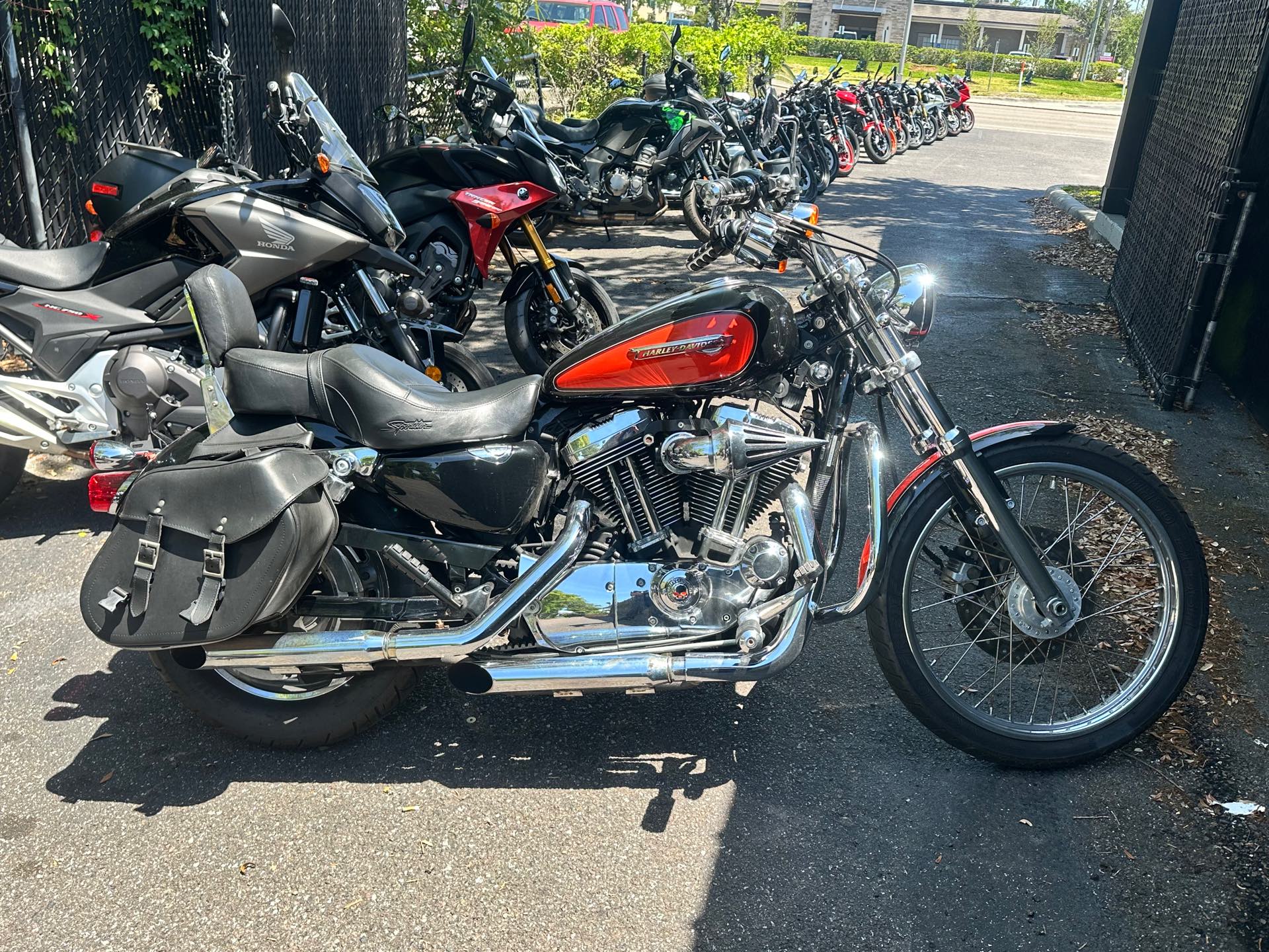 2009 Harley-Davidson Sportster 1200 Custom at Tampa Triumph, Tampa, FL 33614