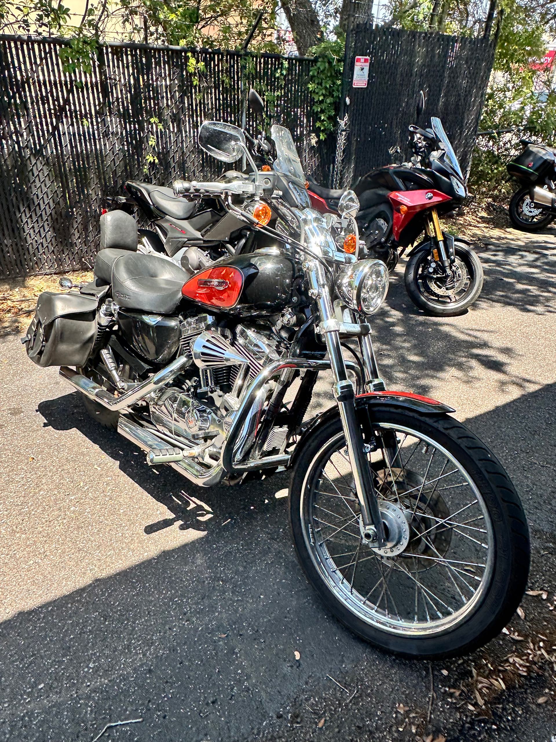 2009 Harley-Davidson Sportster 1200 Custom at Tampa Triumph, Tampa, FL 33614