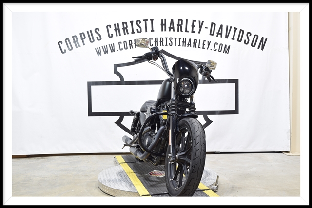 2020 Harley-Davidson Sportster Iron 883 at Corpus Christi Harley-Davidson