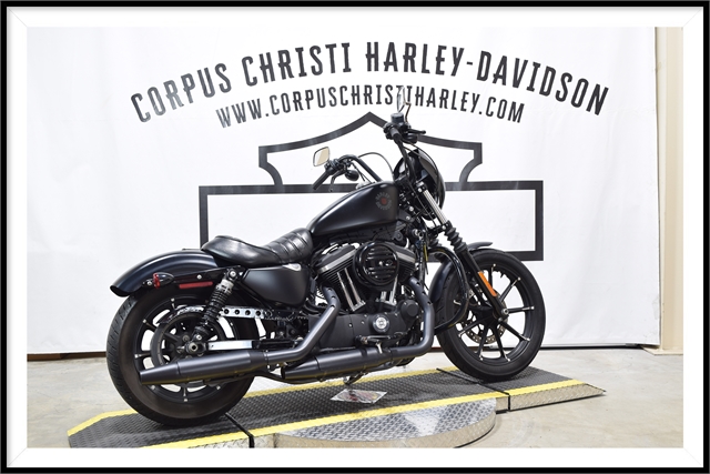 2020 Harley-Davidson Sportster Iron 883 at Corpus Christi Harley Davidson