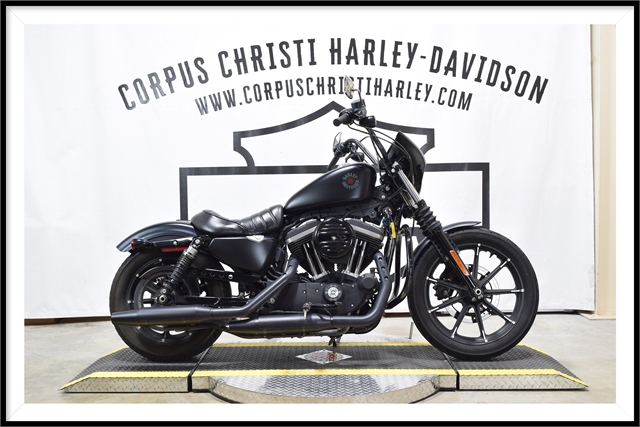 2020 Harley-Davidson Sportster Iron 883 at Corpus Christi Harley Davidson