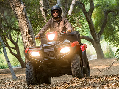 ATV at Friendly Powersports Slidell